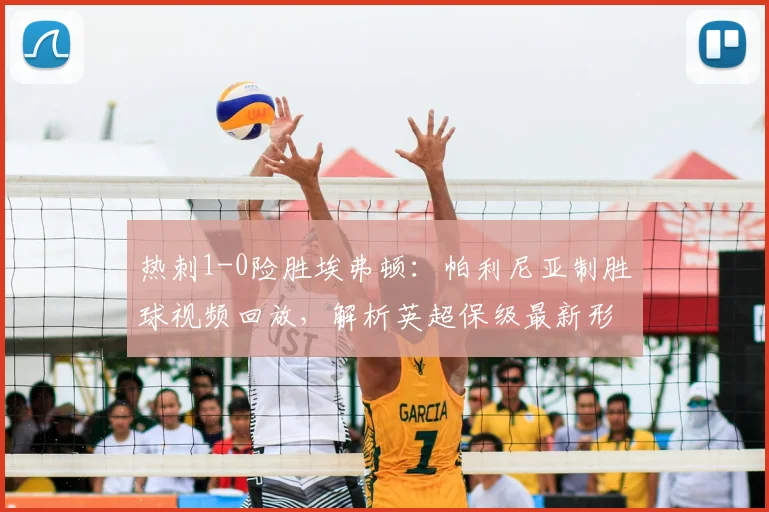 热刺1-0险胜埃弗顿:帕利尼亚制胜球视频回放,解析英超保级最新形势